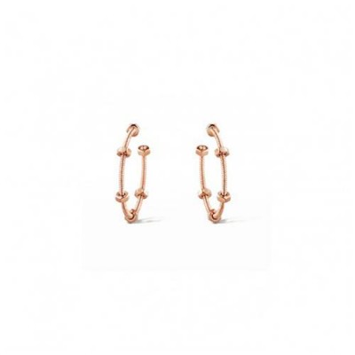 CARTIER ECROU DE CARTIER EARRINGS B8301408