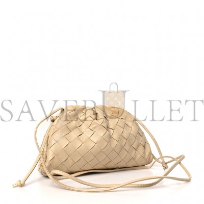 BOTTEGA VENETA NAPPA INTRECCIATO THE MINI POUCH PORRIDGE (22*16*5cm)