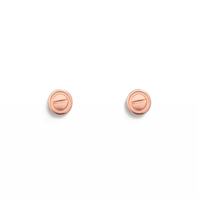 CARTIER  LOVE EARRINGS B8301254
