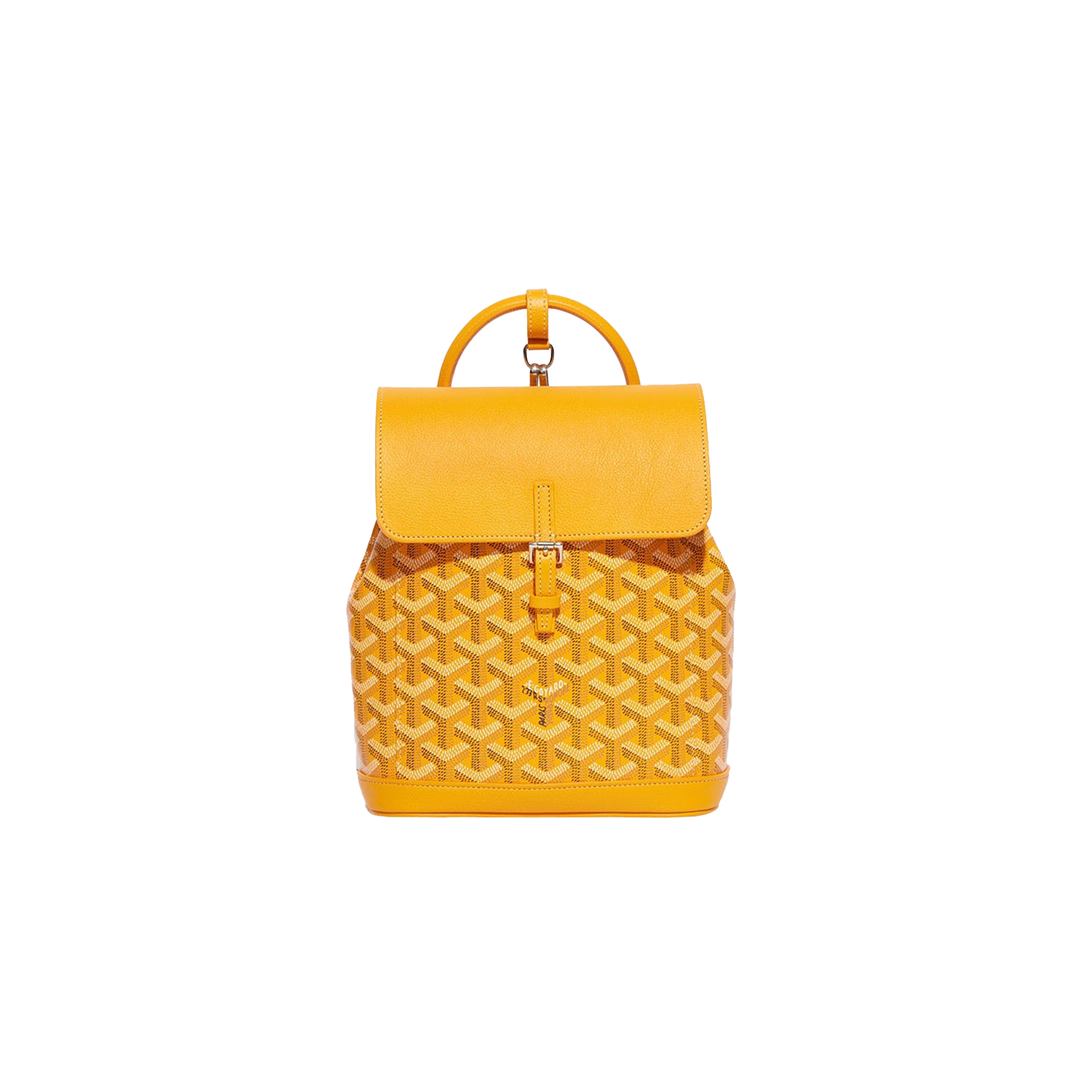 GOYARD ALPIN MINI BACKPACK ALPIN2MINTY08CL08P (23*19*9.5cm) GOYARD ALPIN MINI BACKPACK ALPIN2MINTY08CL08P (23*19*9.5cm)