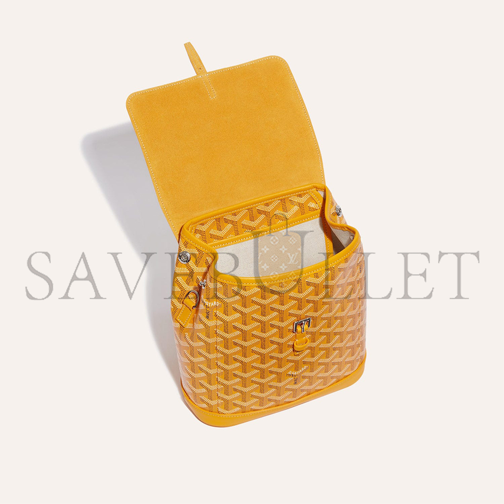 GOYARD ALPIN MINI BACKPACK ALPIN2MINTY08CL08P (23*19*9.5cm) GOYARD ALPIN MINI BACKPACK ALPIN2MINTY08CL08P (23*19*9.5cm)