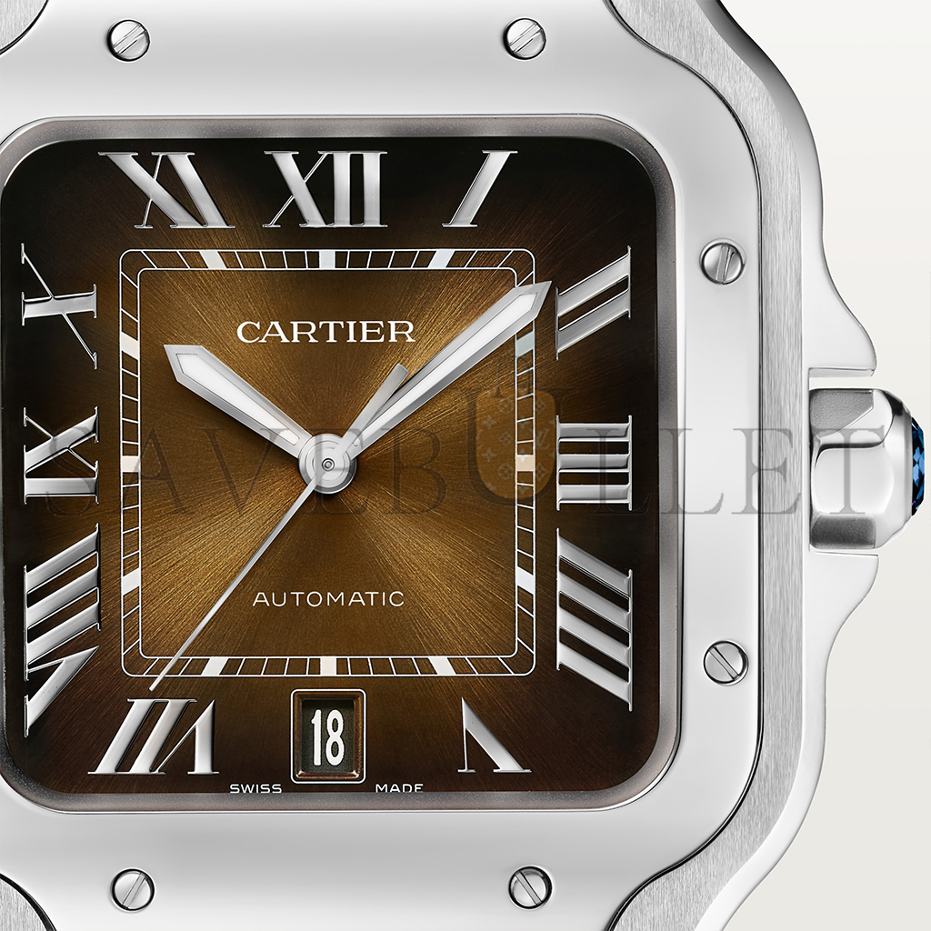 CARTIER SANTOS DE CARTIER WATCH WSSA0064 CARTIER SANTOS DE CARTIER WATCH WSSA0064