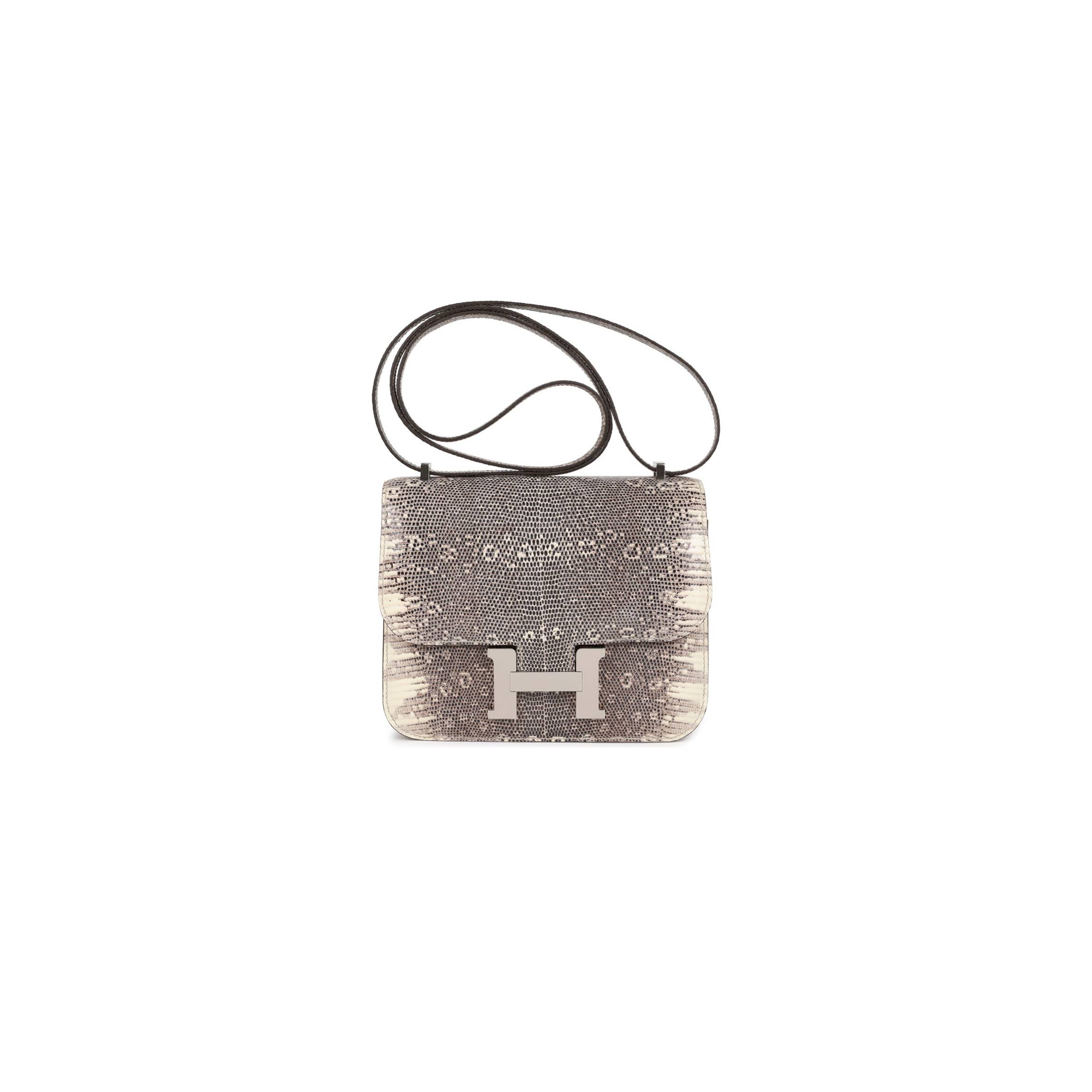 HERMES MINI CONSTANCE 18 OMBRE LIZARD VARANUS PALLADIUM HARDWARE (18*16*5cm) HERMES MINI CONSTANCE 18 OMBRE LIZARD VARANUS PALLADIUM HARDWARE (18*16*5cm)