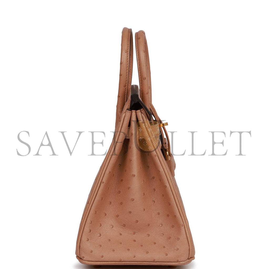 HERMES BIRKIN 25 CHAI OSTRICH GOLD HARDWARE (25cm) HERMES BIRKIN 25 CHAI OSTRICH GOLD HARDWARE (25cm)