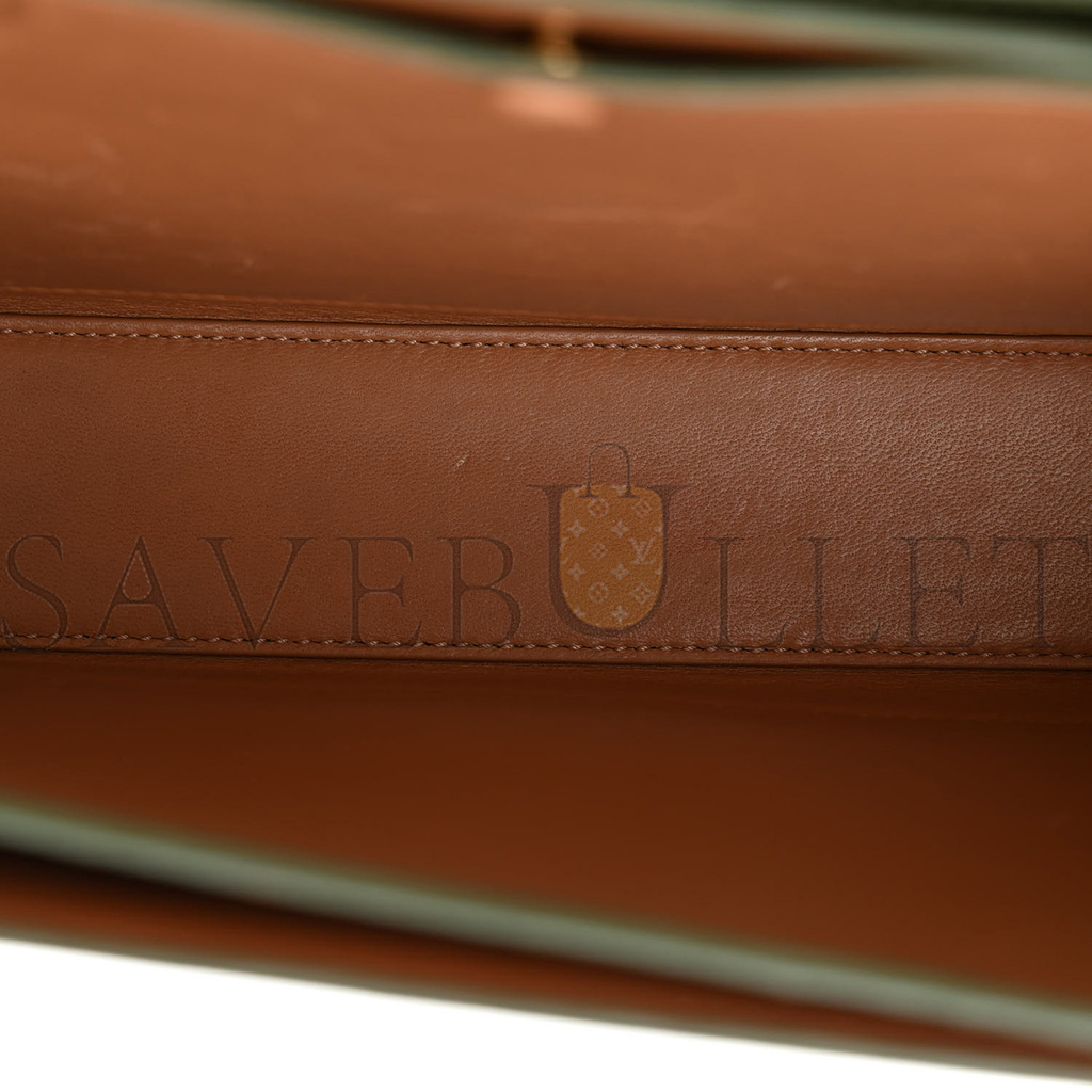 LOEWE SILK CALFSKIN GOYA BAG AVOCADO (22*15*7cm) LOEWE SILK CALFSKIN GOYA BAG AVOCADO (22*15*7cm)