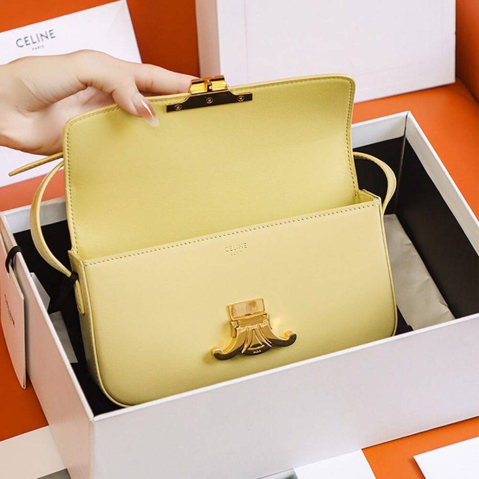 CELINE TRIOMPHE SHOULDER BAG 194143BF4.11PA (20*10*4cm) CELINE TRIOMPHE SHOULDER BAG 194143BF4.11PA (20*10*4cm)