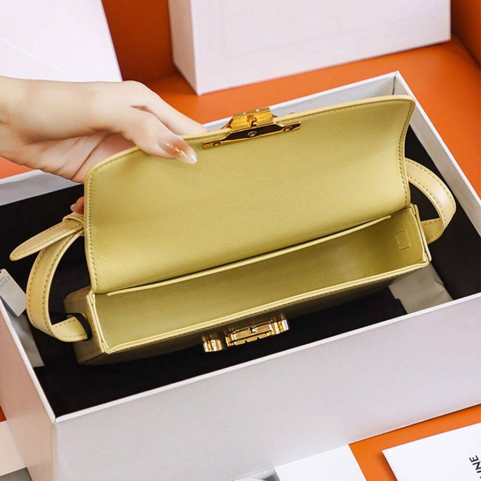 CELINE TRIOMPHE SHOULDER BAG 194143BF4.11PA (20*10*4cm) CELINE TRIOMPHE SHOULDER BAG 194143BF4.11PA (20*10*4cm)