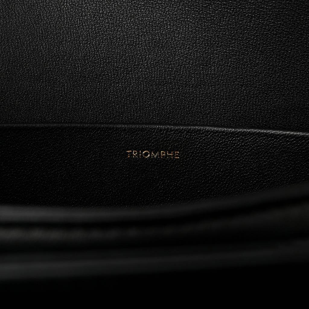 CELINE SHINY CALFSKIN MEDIUM TRIOMPHE BLACK (23*15*5cm) CELINE SHINY CALFSKIN MEDIUM TRIOMPHE BLACK (23*15*5cm)