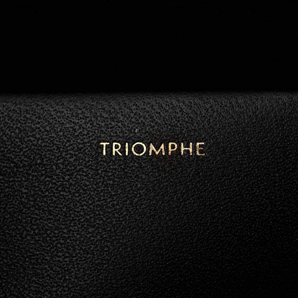 CELINE SHINY CALFSKIN MEDIUM TRIOMPHE BLACK (22*16*8cm) CELINE SHINY CALFSKIN MEDIUM TRIOMPHE BLACK (22*16*8cm)