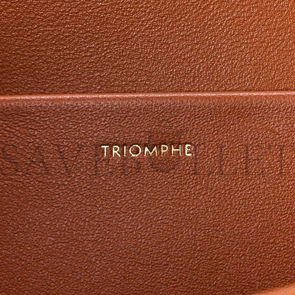 CELINE TRIOMPHE CANVAS CALFSKIN MEDIUM TRIOMPHE BAG TAN (22*15*6cm) CELINE TRIOMPHE CANVAS CALFSKIN MEDIUM TRIOMPHE BAG TAN (22*15*6cm)