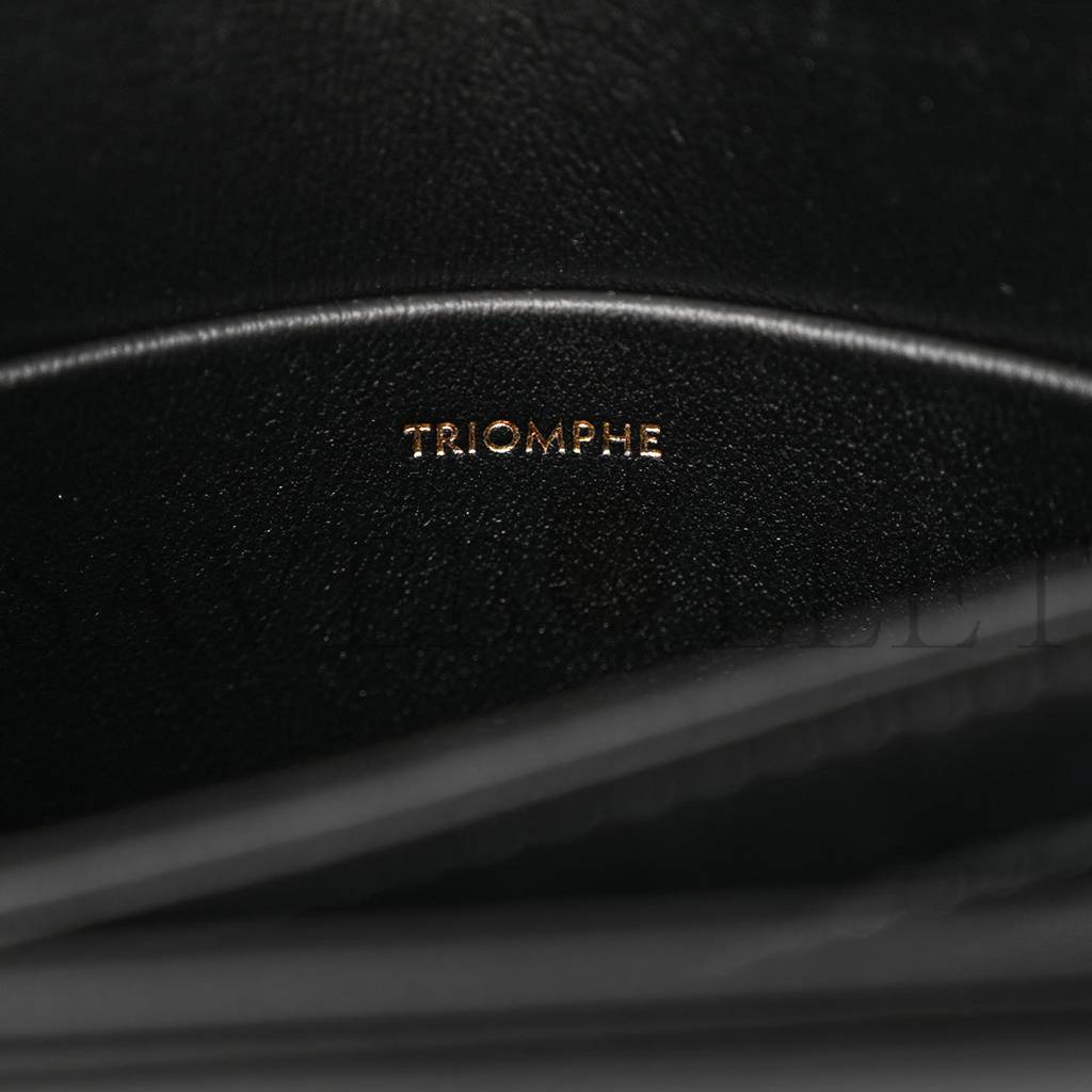 CELINE SHINY CALFSKIN TEEN TRIOMPHE BLACK (18*14*6cm) CELINE SHINY CALFSKIN TEEN TRIOMPHE BLACK (18*14*6cm)